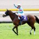 JRAジャパンC(G1)「最強の1勝馬」エタリオウの気性難は鞍上も辟易? 秘策は…