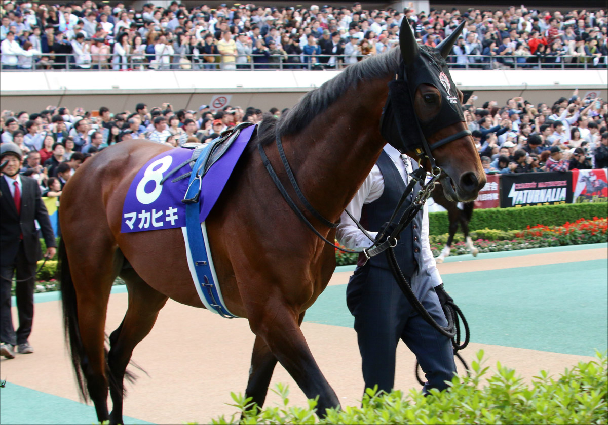 JRA友道康夫「いつもと違う」マカヒキ札幌記念（G2）回避へ。思い出されるのは、あのダービー馬の凡走劇……の画像1