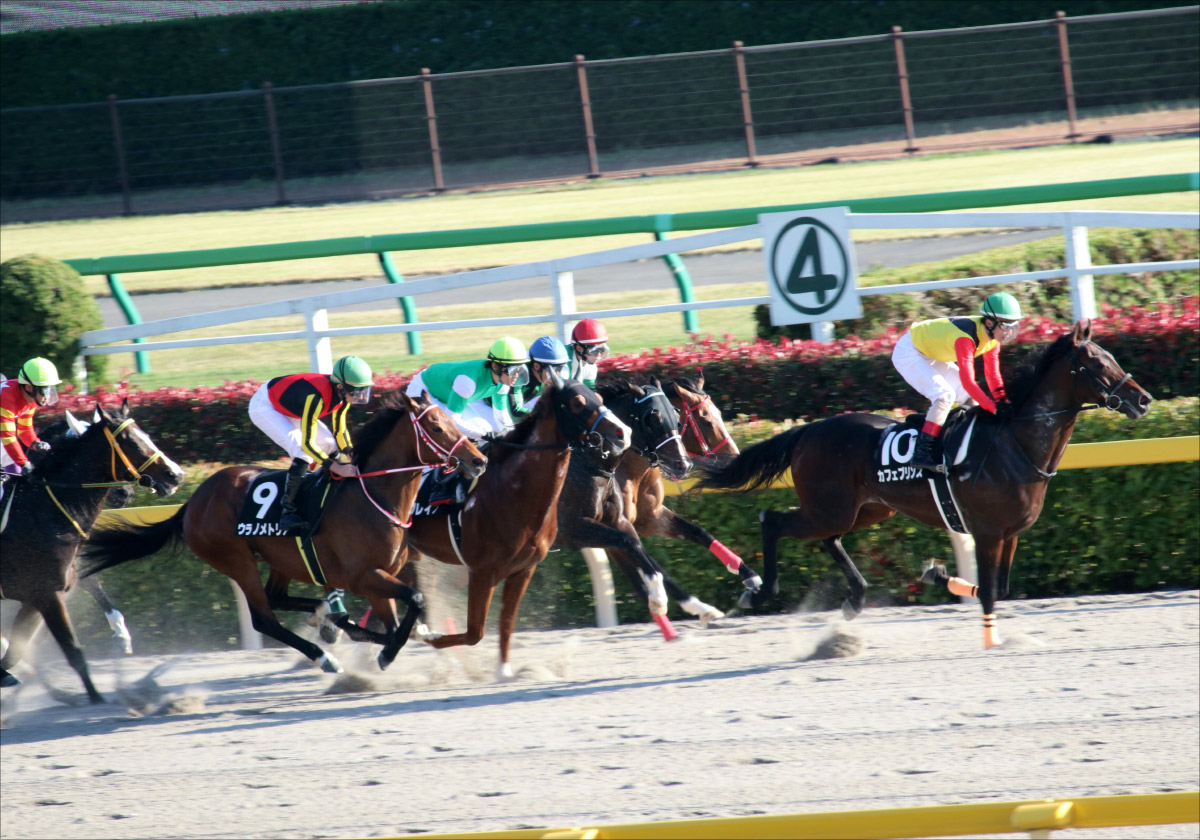 JRA武豊×ラニが唯一の完走。日本馬史上4頭目のケンタッキーダービー（G1）挑戦確実も、米クラシック挑戦に懸念される大きな「代償」とは…の画像1