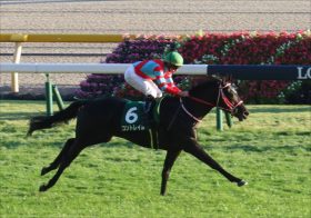 パチスロは「まだ勝てる」! 6号機は「安定でプラス」に!【2019年の収支報告】