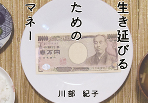 もしidecoとふるさと納税をやったら 納税額はいくら減るのか