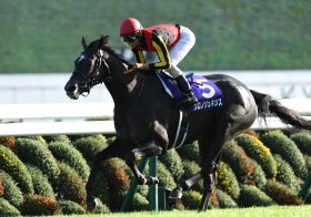武豊JRA・G1完全制覇へ「忘れられているので強調します」。デイリー杯2歳S(G2)完勝レッドベルジュールと、「あの大物」で今年達成の期待大