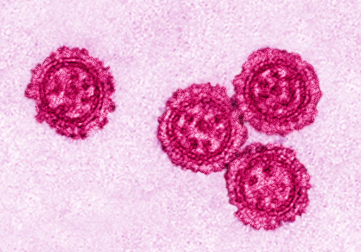 インフルエンザ、「ゾフルーザ」使用で耐性ウイルス拡大の恐れ…専門家「小児への投与は慎重に」の画像1