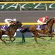 ジャパンC(G1)マーフィー「神騎乗」でスワーヴリチャード復活勝利!「来年も、また日本に来たい」若き欧州の天才に導かれ“東京専用機”復活!
