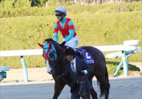 JRAファルコンS（G3）は不在のライバルがモノサシに!! 距離短縮でビアンフェの出番あり!?