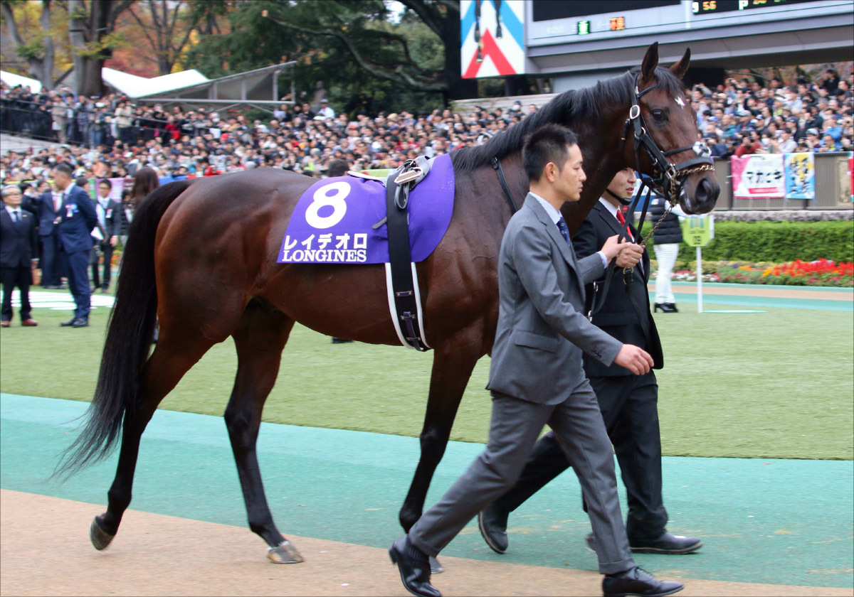 Jra有馬記念 G1 超絶サイン レイデオロが該当 鞍上問題はいつ解決 Gj