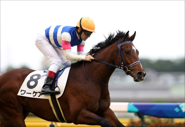 Jraホープフルs 来年の日本ダービー馬候補が登場 コントレイルvsワーケアの熱い戦い 割って入るのはブラックホール それともあの超良血馬か Gj
