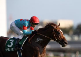 JRA超良血馬ヴァーダイト「4馬身差」圧勝デビュー! 川田騎手「問題なくいい競馬」兄姉にG1馬多数