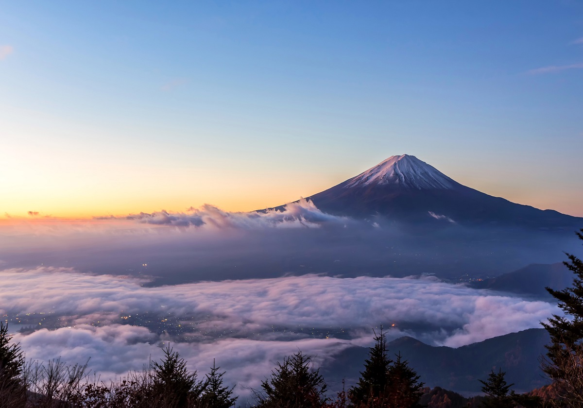 平泉 富士山 車の ご当地ナンバー 乱立し過ぎで埋没 自治体間で不毛な紛争も