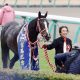 2019JRA賞決定! 年度代表馬リスグラシュー、大器コントレイルら各賞紹介!