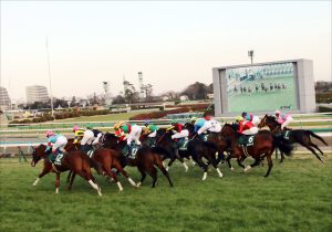 Jra 国際派トレーナー 大成功の秘密 ウマ娘 藤田晋氏 所有馬が武豊鞍上で世界デビューも時間の問題か Gj