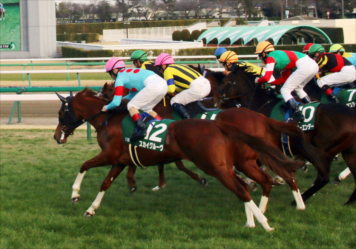 は巻き返しを図る良血馬 は紫苑sで結果を残しているディープ産駒 紫苑s 小点数で完全攻略を狙う Gj