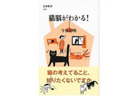 知られざる“猫の脳”……「約200語を覚えられる」「2～3歳児よりも知能が高い」