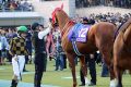 JRA・C.ルメール「川田・武豊」に見せつけた大爆発9勝!「ビッグチャンスでした」5連勝&フェブラリーS(G1)モズアスコット圧勝締め