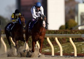 新型コロナ影響と「軍団」の共通点!?【濱マモルの のほほんコラムVol.35 買い占め】