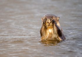 某人気女子アナXに局内不倫疑惑…お相手はイケメン男性アナか、妻が激怒で大騒動に