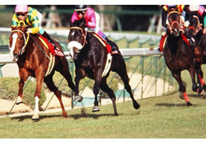 JRA「伝説」ナリタブライアンVSマヤノトップガンのマッチレース！ 長距離名手の武豊が3冠馬の意地を引き出した96年阪神大賞典（G2）の画像1