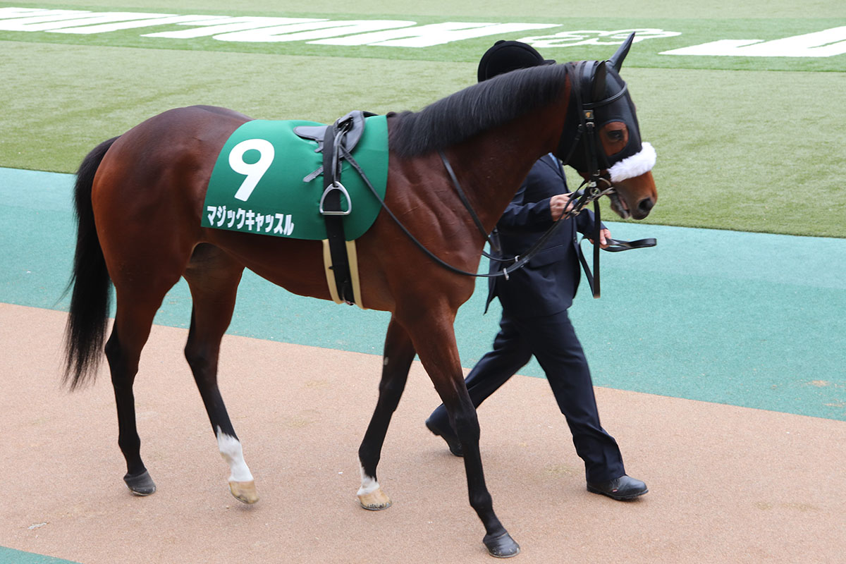 JRA桜花賞（G1）マジックキャッスル母は「12年前」桜の舞台で3着、近10年「4勝」走る関東馬の見分け方の画像1