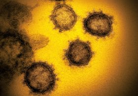 「コロナばらまき男」を駆り立てた“強い怒り”…テロまがい行為、今後増加の兆候