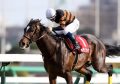 【JRA裏技】春競馬を勝利に導く『生きた情報』。武豊、ルメール、川田、ノーザンファームの内部情報でスプリングS、阪神大賞典、フラワーCを勝つ！