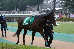 Jra 金色の暴君 オルフェーヴルがタケシバオー2世を襲名 伝説の怪物を彷彿させる完全無欠の存在に 令和を代表する種牡馬に駆け上がるか Gj