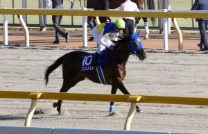 Jraルヴァンスレーヴ帝王賞 G1 で 大復活 へ 萩原清調教師 本当のチャンピオンに 12年前 劇的復活を果たした 不屈のダート王 とは Gj