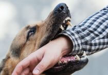 東京女子医大が危機的状況、看護師ボーナスゼロで400人が退職意志…理事室移転に6億円