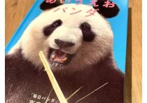 YouTube講演家が伝授! 本を読むスピードが上がる「速読法4ステップ」