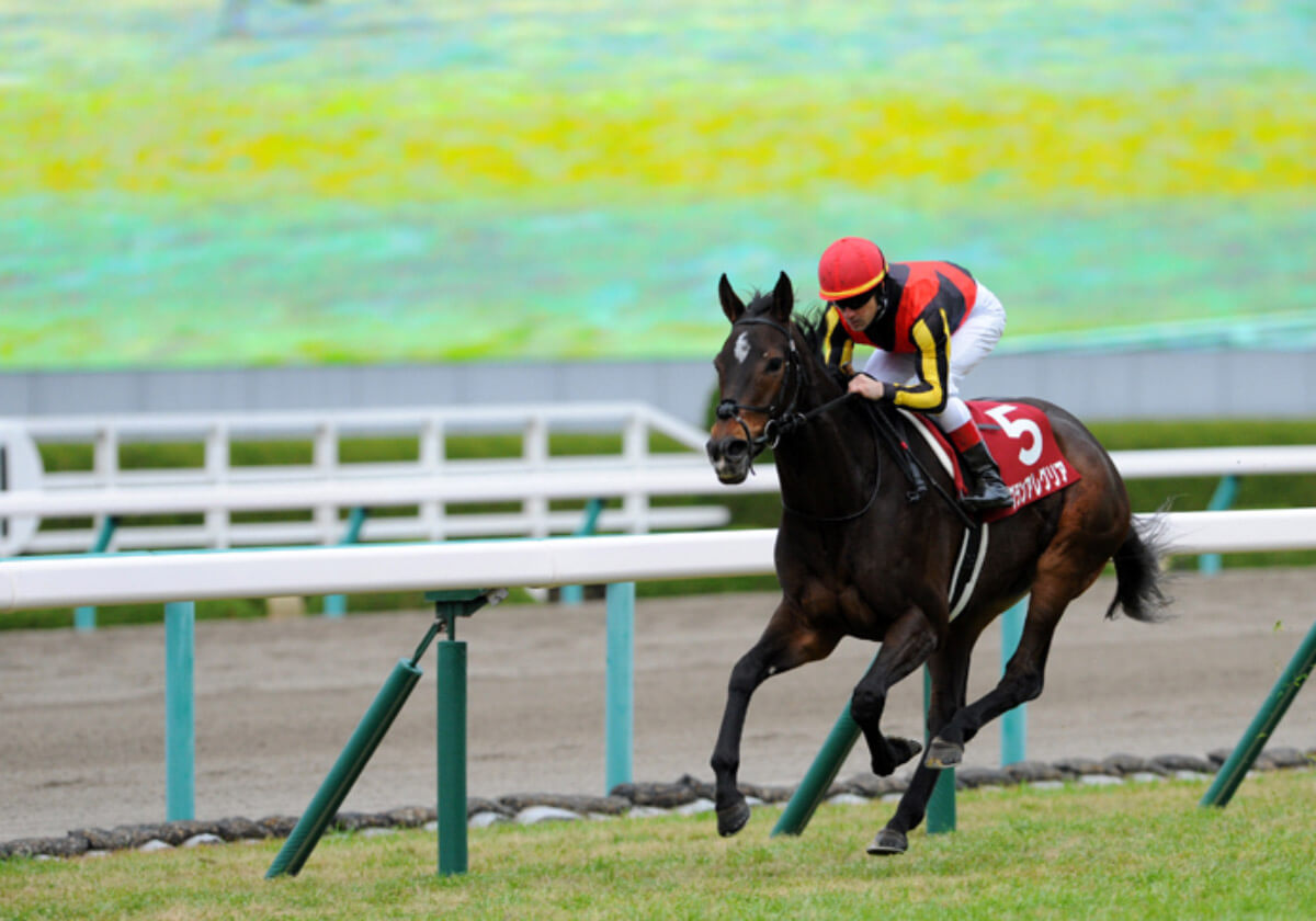 川田もルメールもまさかの消し 騎手と相性抜群 乗り替わりなどでjraスプリンターズステークス激走穴馬を緊急公開 Gj