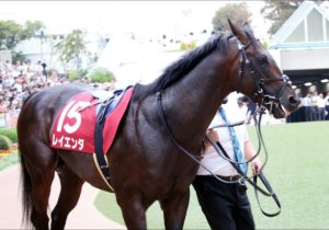 Jra 中山最終レースで 意味深 な名前の馬が勝利 所有馬に個性的なネーミング揃いのオーナーの本業は Gj