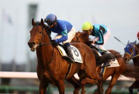 JRA京成杯、11年連続の万馬券は必至!荒れる冬競馬で大儲けする人が続出する裏事情
