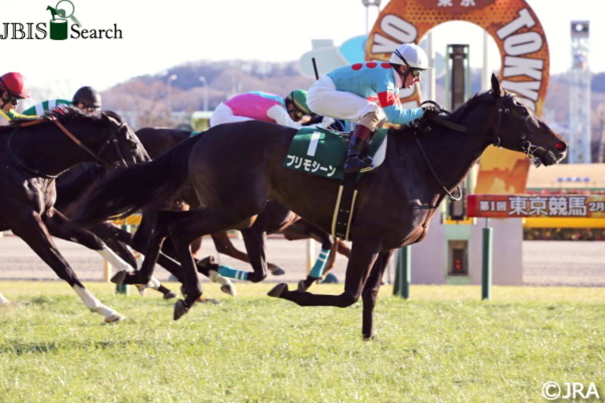 JRAラウダシオン「分身」被害馬がシルクロードS（G3）で引退。重賞3勝馬をまさかのスルーで競走生活に幕引き……の画像1