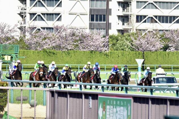 JRA「実力はあんなものではない」相沢郁厩舎、大器ライラックに続く桜花賞（G1）2頭出しへ素質馬モカフラワーが出陣！の画像1