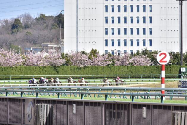 開催最終週で大勝負確定 個人馬主からクラブ馬主まで 地元東京馬主の勝負馬がズラリ Gj