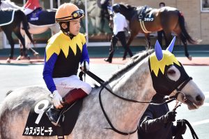 Jra タマモクロスvsオグリキャップ後年語り継がれる 芦毛頂上決戦 と父の悲願を成し遂げた天皇賞制覇 史上初春秋連覇の偉業 Gj