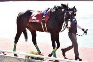 Jra 第二のサトノダイヤモンドの可能性秘める素質馬が 出世レース に挑戦 打ち破る G1 21勝 名伯楽にまつわるジンクス Gj