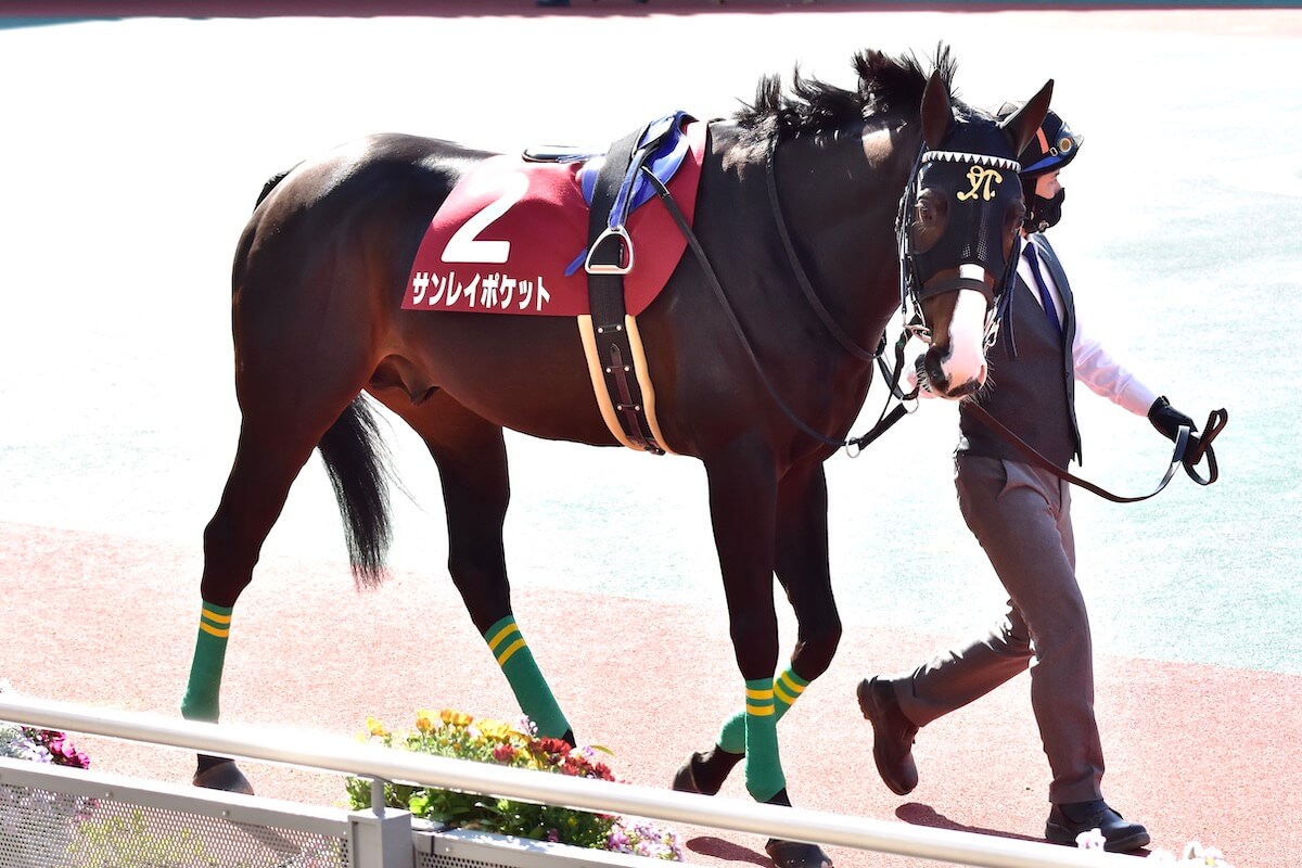 「G1級」札幌記念で有力馬が回避のなぜ!? あえて選んだ戦略的撤退の舞台裏の画像1