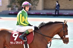 ピンクカメハメハのニュース ビジネスパーソン向けニュースサイトのビジネスジャーナル