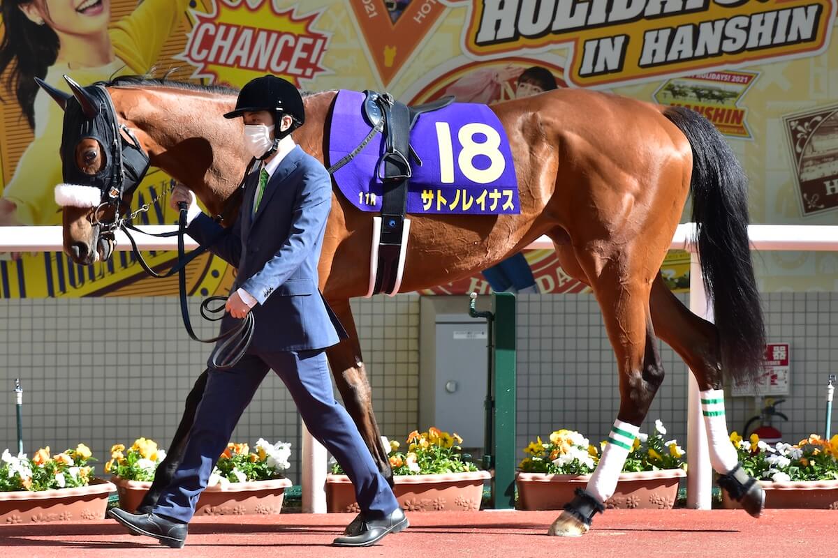 Jra 歴代最強 逃げ馬サイレンススズカの心を折った大西直宏の逃げ宣言 サニーブライアンの主戦騎手が掴んだ安田記念 G1 グランアレグリアの 不安情報 とは Gj