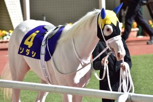 Jra 池添謙一 痛恨 騎乗停止も問題なし フェブラリーs G1 目前に旅立ったタイムパラドックスに捧げる 復活 シナリオ Gj