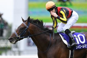 JRA天皇賞、特大万馬券で決着か…本命不在で大混戦、最強の万馬券ハンターが狙う穴馬とは