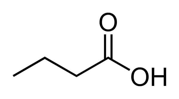 栄養満点のスーパーフード ユーグレナ は何がスゴいのか 腸内細菌 免疫力にも好影響