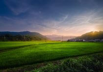 東京五輪に反対する現代人は「群れ集う」ことに疲弊している？公認心理師に聞く潜在的願望