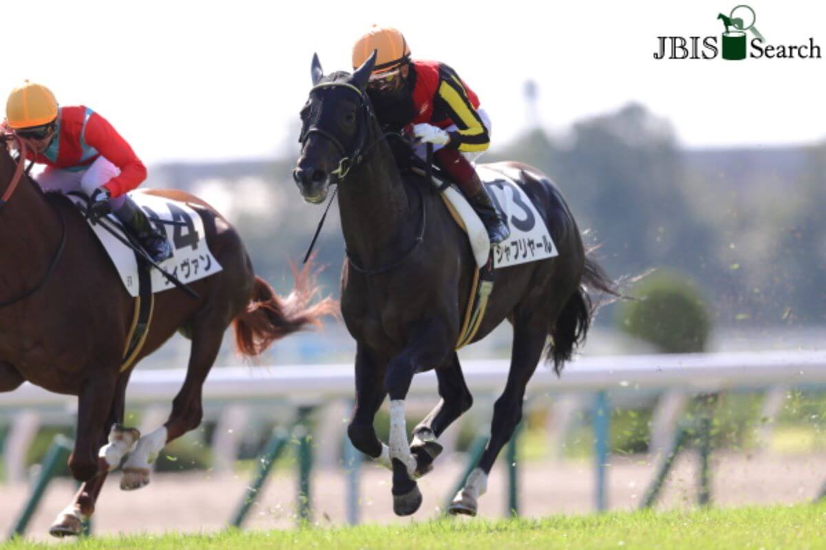 Jraシャフリヤール 菊花賞 なら競馬界最大の謎に挑戦 三冠馬8頭に対し 日本ダービー 菊花賞 はわずか1頭 ダービー馬は何故勝てないのか Gj