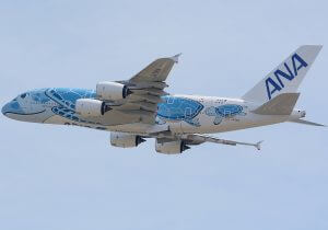 ANA、SNS投稿“自意識過剰すぎる”社内研修…「大企業で働いているだけで妬みの対象」