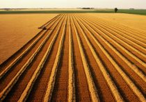 10月、食品が一斉値上げラッシュ…地球温暖化の異常気象、食卓を直撃し始めた