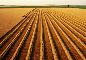 巨大な米国オガララ帯水層、枯渇の危機、穀物生産が困難に…日本の畜産に深刻な打撃