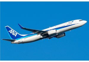 ANA労組、“御用組合化”の実態…CAの過酷労働が改善されず、理不尽な待遇が放置