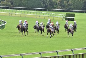 ピンクカメハメハのニュース ビジネスパーソン向けニュースサイトのビジネスジャーナル