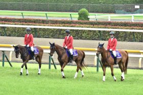 ハリケーンレーンのニュース ビジネスパーソン向けニュースサイトのビジネスジャーナル